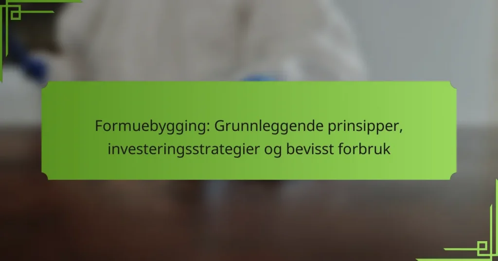 Formuebygging: Grunnleggende prinsipper, investeringsstrategier og bevisst forbruk