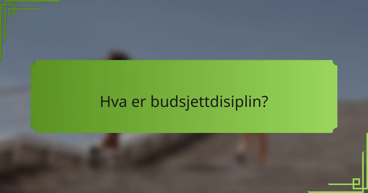 Hva er budsjettdisiplin?