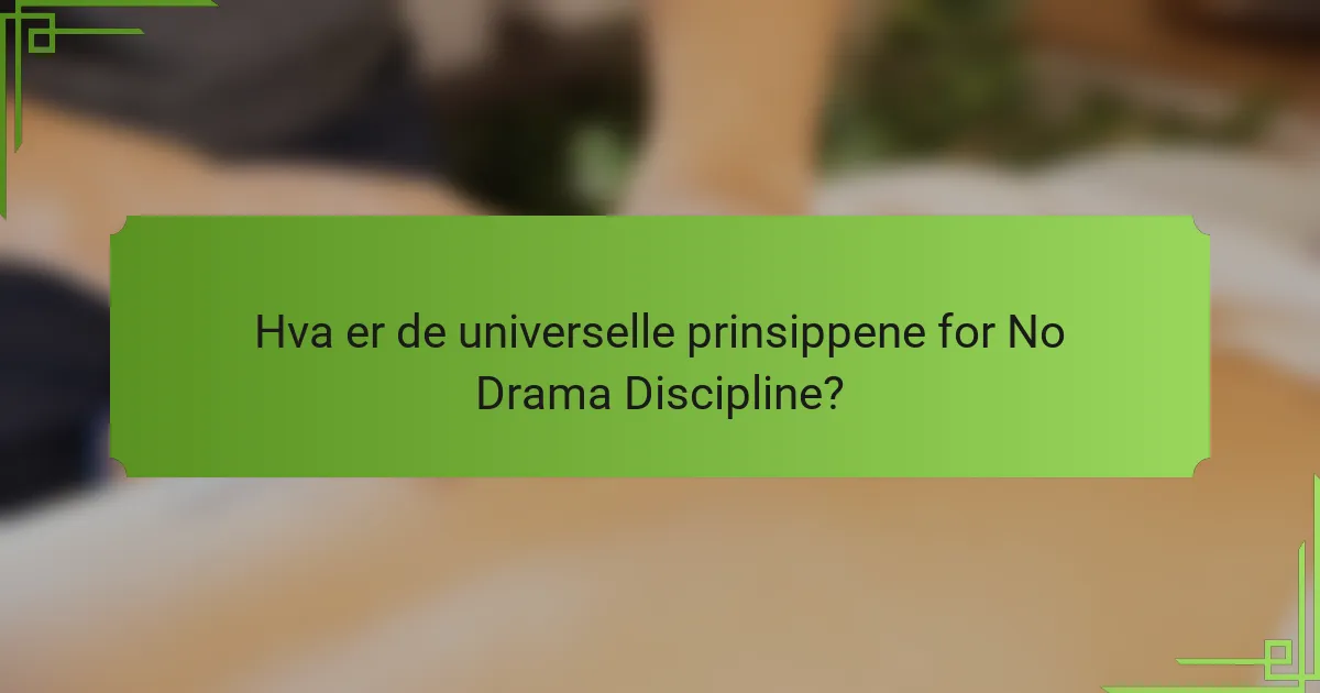 Hva er de universelle prinsippene for No Drama Discipline?