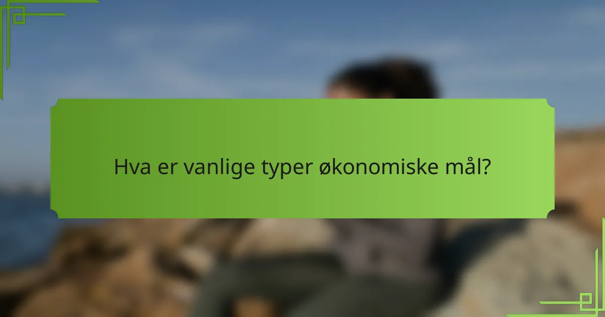 Hva er vanlige typer økonomiske mål?
